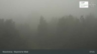 Archiv Foto Webcam Neuschönau - Besucherzentrum Nationalpark Bayerischer Wald 06:00