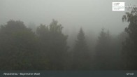 Archiv Foto Webcam Neuschönau - Besucherzentrum Nationalpark Bayerischer Wald 07:00