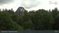 Archived image Webcam Neuschönau - Visitor center Lusen National Park 18:00