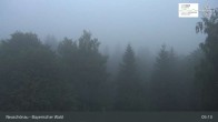 Archiv Foto Webcam Neuschönau - Besucherzentrum Nationalpark Bayerischer Wald 04:00