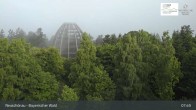Archiv Foto Webcam Neuschönau - Besucherzentrum Nationalpark Bayerischer Wald 07:00