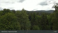 Archiv Foto Webcam Neuschönau - Besucherzentrum Nationalpark Bayerischer Wald 10:00