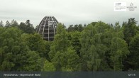 Archived image Webcam Neuschönau - Visitor center Lusen National Park 06:00