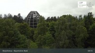 Archived image Webcam Neuschönau - Visitor center Lusen National Park 08:00