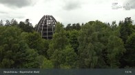 Archived image Webcam Neuschönau - Visitor center Lusen National Park 12:00