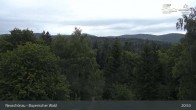 Archiv Foto Webcam Neuschönau - Besucherzentrum Nationalpark Bayerischer Wald 02:00