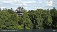 Archiv Foto Webcam Neuschönau - Besucherzentrum Nationalpark Bayerischer Wald 08:00