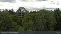 Archiv Foto Webcam Neuschönau - Besucherzentrum Nationalpark Bayerischer Wald 10:00