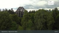 Archiv Foto Webcam Neuschönau - Besucherzentrum Nationalpark Bayerischer Wald 14:00