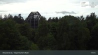 Archiv Foto Webcam Neuschönau - Besucherzentrum Nationalpark Bayerischer Wald 16:00