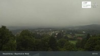 Archiv Foto Webcam Neuschönau - Besucherzentrum Nationalpark Bayerischer Wald 06:00