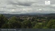 Archiv Foto Webcam Neuschönau - Besucherzentrum Nationalpark Bayerischer Wald 10:00