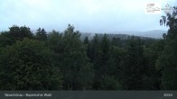 Archiv Foto Webcam Neuschönau - Besucherzentrum Nationalpark Bayerischer Wald 00:00