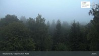 Archiv Foto Webcam Neuschönau - Besucherzentrum Nationalpark Bayerischer Wald 00:00