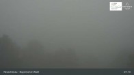 Archiv Foto Webcam Neuschönau - Besucherzentrum Nationalpark Bayerischer Wald 06:00