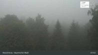 Archiv Foto Webcam Neuschönau - Besucherzentrum Nationalpark Bayerischer Wald 07:00