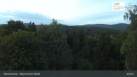 Archiv Foto Webcam Neuschönau - Besucherzentrum Nationalpark Bayerischer Wald 20:00