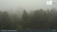 Archiv Foto Webcam Neuschönau - Besucherzentrum Nationalpark Bayerischer Wald 06:00