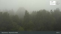 Archiv Foto Webcam Neuschönau - Besucherzentrum Nationalpark Bayerischer Wald 08:00