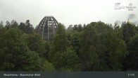 Archiv Foto Webcam Neuschönau - Besucherzentrum Nationalpark Bayerischer Wald 10:00