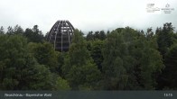 Archiv Foto Webcam Neuschönau - Besucherzentrum Nationalpark Bayerischer Wald 12:00