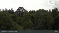 Archiv Foto Webcam Neuschönau - Besucherzentrum Nationalpark Bayerischer Wald 14:00