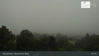 Archiv Foto Webcam Neuschönau - Besucherzentrum Nationalpark Bayerischer Wald 06:00