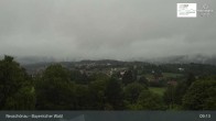 Archiv Foto Webcam Neuschönau - Besucherzentrum Nationalpark Bayerischer Wald 08:00