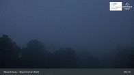 Archiv Foto Webcam Neuschönau - Besucherzentrum Nationalpark Bayerischer Wald 04:00