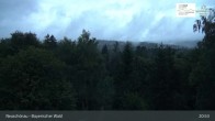 Archiv Foto Webcam Neuschönau - Besucherzentrum Nationalpark Bayerischer Wald 02:00