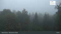 Archiv Foto Webcam Neuschönau - Besucherzentrum Nationalpark Bayerischer Wald 02:00