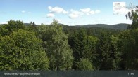 Archiv Foto Webcam Neuschönau - Besucherzentrum Nationalpark Bayerischer Wald 10:00