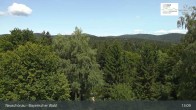 Archiv Foto Webcam Neuschönau - Besucherzentrum Nationalpark Bayerischer Wald 12:00