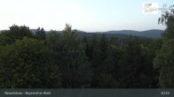 Archiv Foto Webcam Neuschönau - Besucherzentrum Nationalpark Bayerischer Wald 00:00