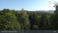 Archiv Foto Webcam Neuschönau - Besucherzentrum Nationalpark Bayerischer Wald 08:00