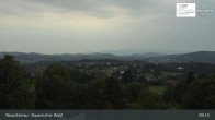 Archiv Foto Webcam Neuschönau - Besucherzentrum Nationalpark Bayerischer Wald 08:00