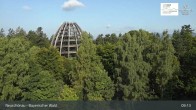 Archived image Webcam Neuschönau - Visitor center Lusen National Park 08:00