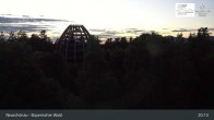 Archiv Foto Webcam Neuschönau - Besucherzentrum Nationalpark Bayerischer Wald 00:00