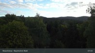 Archiv Foto Webcam Neuschönau - Besucherzentrum Nationalpark Bayerischer Wald 07:00