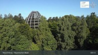 Archiv Foto Webcam Neuschönau - Besucherzentrum Nationalpark Bayerischer Wald 08:00