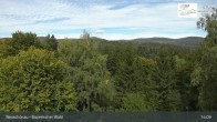 Archiv Foto Webcam Neuschönau - Besucherzentrum Nationalpark Bayerischer Wald 11:00