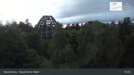 Archiv Foto Webcam Neuschönau - Besucherzentrum Nationalpark Bayerischer Wald 00:00