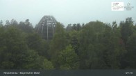 Archiv Foto Webcam Neuschönau - Besucherzentrum Nationalpark Bayerischer Wald 06:00
