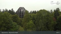 Archiv Foto Webcam Neuschönau - Besucherzentrum Nationalpark Bayerischer Wald 08:00