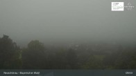 Archiv Foto Webcam Neuschönau - Besucherzentrum Nationalpark Bayerischer Wald 09:00