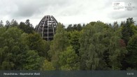 Archiv Foto Webcam Neuschönau - Besucherzentrum Nationalpark Bayerischer Wald 12:00