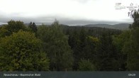 Archiv Foto Webcam Neuschönau - Besucherzentrum Nationalpark Bayerischer Wald 08:00