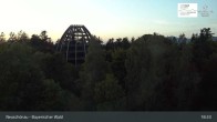 Archiv Foto Webcam Neuschönau - Besucherzentrum Nationalpark Bayerischer Wald 00:00