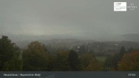 Archiv Foto Webcam Neuschönau - Besucherzentrum Nationalpark Bayerischer Wald 07:00