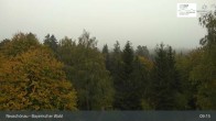 Archiv Foto Webcam Neuschönau - Besucherzentrum Nationalpark Bayerischer Wald 08:00